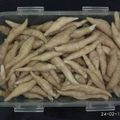 Cooksnap dari Kartika Rahman untuk resep Cheese stick a.k.a telur gabus tepung ketan