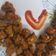 Rita mehta का कुकस्नैप जब उन्होंने चना दाल के पकौड़े (chana dal ke pakode recipe in Hindi) बनाया था।