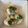Saroj Rathod's cooksnap of when they made દહીં વડા (Dahi Vada Recipe In Gujarati).