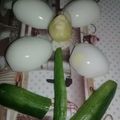 صورة من om rakan ، شاركها بعد تجربة وصفة بيض مسلوق بحشوه الافوكادو