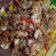 Cooksnap dari ratri deyaka untuk resep Udang goreng mentega cereal /Cereal butter prawn