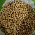 Cooksnap dari Dwi Sari untuk resep Kacang bawang gurih