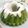 Cooksnap dari lienda untuk resep Puding Lumut Pandan Cokelat gurih bangett