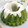 Cooksnap dari lienda untuk resep Puding Lumut Pandan Cokelat gurih bangett