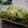 รูป Cooksnap ของ Pamela Pranpraparn Kaewplung เมื่อเขาทำ แตงกวาญี่ปุ่น ผัดไข่