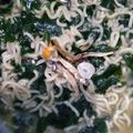 Cooksnap dari Nuramlah Yan untuk resep Sayur bening daun kelor campur mie