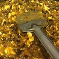 Anamika Banerjee's cooksnap of when they made Green moong dal tadka.