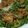 blueseal's cooksnap of when they made 豚薄切り肉のバーベキューソース炒め.