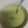 El cooksnap de Dora Avalos cuando hizo Crema de Brócoli con Queso.