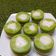 Cooksnap dari susi untuk resep Kue nona manis