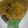 Bushra Mazhar's cooksnap of when they made Kari_Chawal.