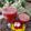 Beena Radia's cooksnap of when they made Watermelon & pomegranate fresh Juice.