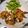 Alice Chang 的 氣炸雞翅 cooksnap