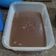 Cooksnap dari Aro Fah untuk resep Puding roti tawar chocolatos