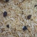 El cooksnap de Bryan Mendieta cuando hizo Arroz árabe.