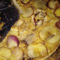 El cooksnap de Alejandra Russo cuando hizo Torta de manzanas con canela.
