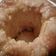 El cooksnap de Maria Mercado cuando hizo Torta de manzana invertida.