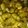 Jaya Dadhich 's cooksnap of when they made Masaledar French Beans ki sabzi.
