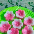 Cooksnap dari Nover Lina untuk resep Kue Lapis Tepung Beras (Merah Putih)