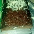 Cooksnap dari Yuni's untuk resep Brownies 3 sdm 🍰🍫