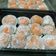Cooksnap dari Arifiati untuk resep Kue Mochi isi Kacang Tanah