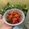 Cooksnap dari Novi Sugiarti untuk resep Manisan Pepaya