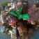 Cooksnap dari Laily Purnamawati untuk resep Krengsengan daging kambing #kitaberbagi