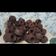 Cooksnap dari Wulan Ningsih untuk resep Bolu Kukus mawar (coklat)