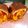 Cooksnap de missty0910 sur la recette Cordon rouge au poulet