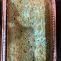 Naomi Harrison's cooksnap of when they made Big Red Cake Texas Style.