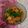 Cooksnap dari Susan untuk resep Tumis Pokcoy Wortel Sosis