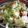 Pure's cooksnap of when they made Caesar salad.