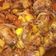 Cooksnap dari lth untuk resep Ayam goreng kecap