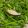 ccdagu 的 #167 香菇炒水蓮 cooksnap