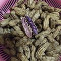 Cooksnap dari Yane Kitchen's untuk resep Kacang Tanah Rebus Irit Gas