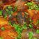 Koriya Parul's cooksnap of when they made રીંગણ ના રવૈયા (Stuffed Brinjal Recipe In Gujarati).