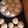 lisa1212's cooksnap of when they made Mini Vanilla Butter Cookies.