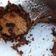 El cooksnap de CAROLINA cuando hizo Torta de chocolate, dulce de leche y vainilla.