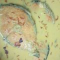 Cooksnap dari Chris Putra untuk resep Gulai ikan salmon