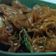 Cooksnap dari Setya Indra P.P untuk resep Kwetiau goreng ayam ala Solaria