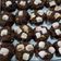 Cooksnap dari meriana untuk resep S'More Pudding Cookies - Cookies Chewy&Empukkk pake Nutrijell