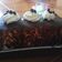 Cooksnap dari Julita fitriani untuk resep Cake Biskuit (tanpa oven tanpa kukusan) #pr_bebiskuitan