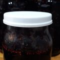 El cooksnap de Mariana Méndez cuando hizo Dulce de moras.