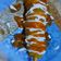 Cooksnap dari Rahmawati untuk resep Corndog sosis Mozarella