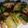 El cooksnap de cparedes cuando hizo Delicias de milhojas rellenas de conserva de picadillo de frutas.