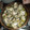 El cooksnap de Priscila cuando hizo Almejas en salsa con ajo y perejil.