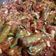 Cooksnap dari Annise Proboningrat untuk resep Tumis terong daging sapi