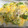 El cooksnap de Armando Hernandez Rodriguez cuando hizo Brócoli gratinado con bacon y bechamel.