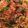 ireneq's cooksnap of when they made Spicy Mee Goreng With Onion And Chinese Sausage.