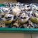 Cooksnap dari indah untuk resep Browkat | Brownies Oreo Alpukat | Oreo Avocado Cheesecake